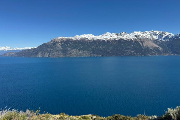 WhatsApp Image 2025-11-10 at 15.23.10