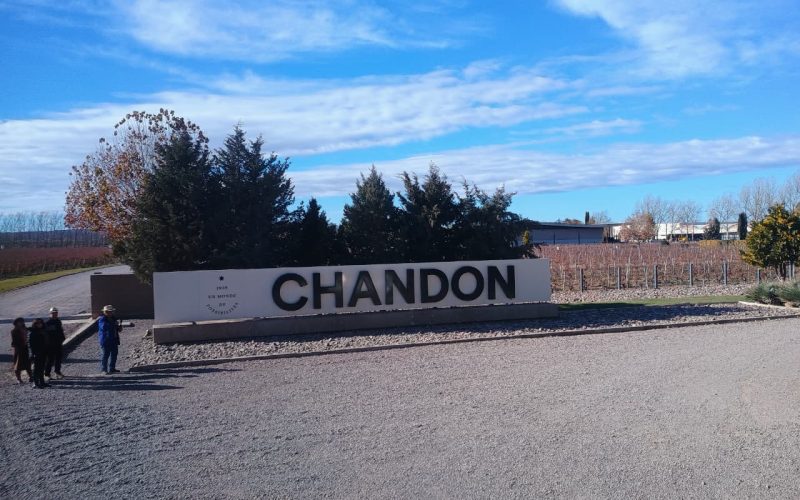 WhatsApp Image 2025-11-10 at 16.17.03 (1)