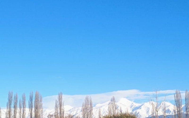 WhatsApp Image 2025-11-10 at 16.17.04