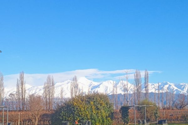 WhatsApp Image 2025-11-10 at 16.17.12