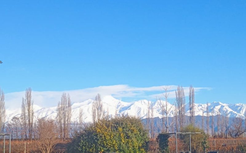 WhatsApp Image 2025-11-10 at 16.17.12