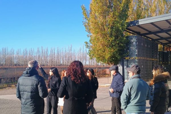 WhatsApp Image 2025-11-10 at 16.17.23