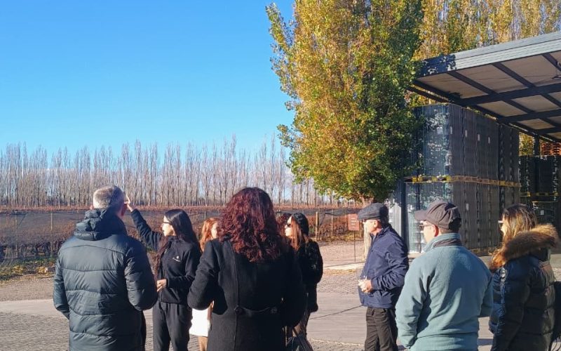 WhatsApp Image 2025-11-10 at 16.17.23