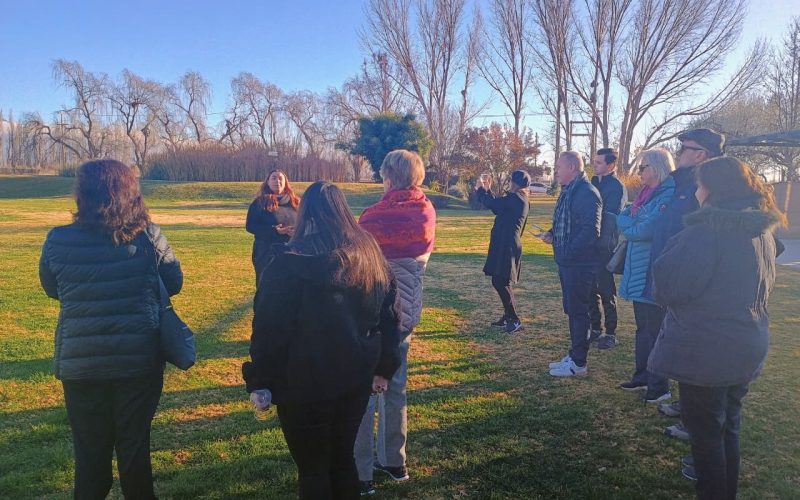 WhatsApp Image 2025-11-10 at 16.17.25