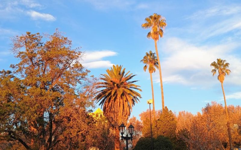 WhatsApp Image 2025-11-10 at 16.17.28