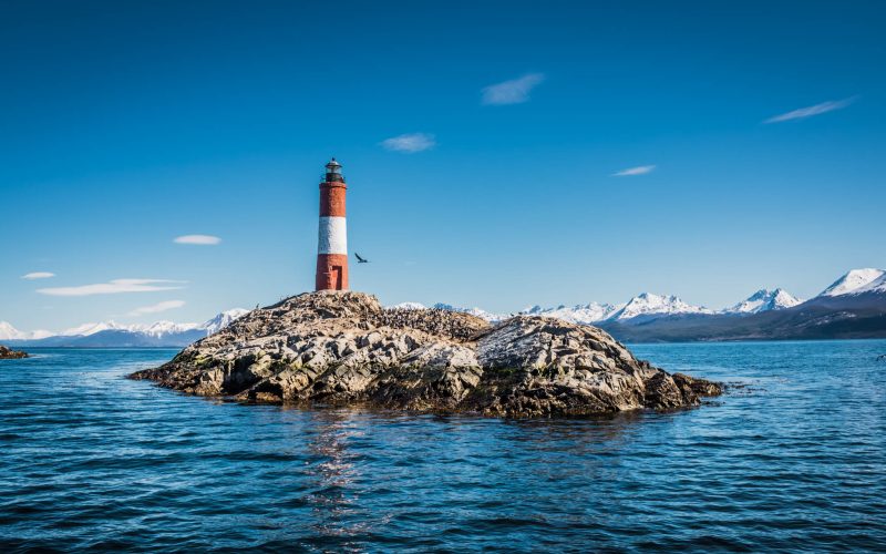 passeio-navegação-canal-beagle-ilha-lobos-passaros-farol-ushuaia-0